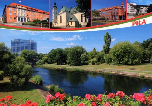 Piła