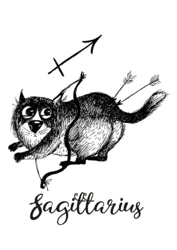 Koci zodiak: Strzelec