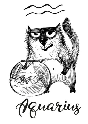 Koci zodiak: Wodnik