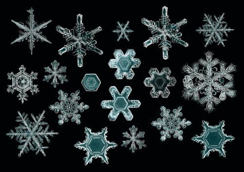 Snowflakes