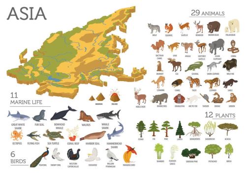 Fauna i Flora Azji