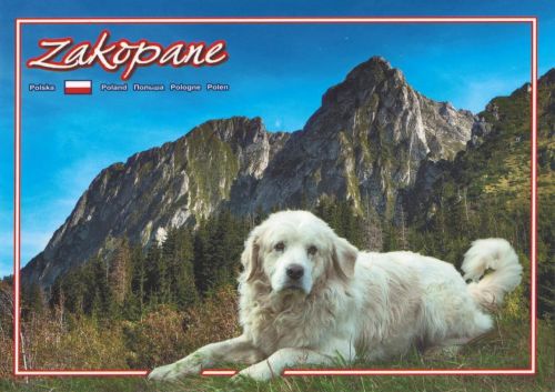 Zakopane
