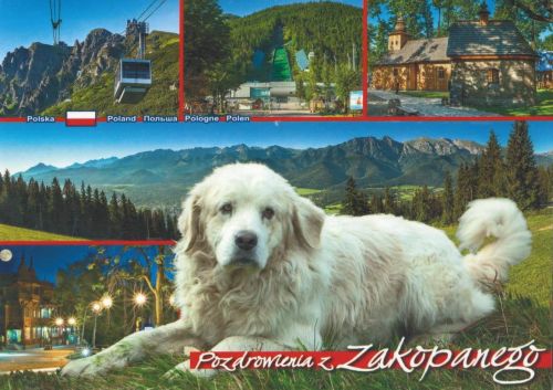 Zakopane