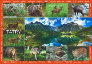 Tatra Mountains