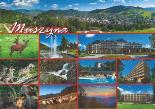 Muszyna