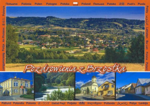 Brzostek