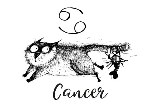 Koci zodiak: Rak