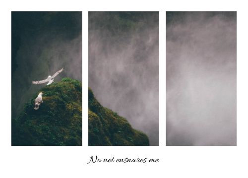 No net ensnares me