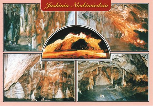 Jaskinia Niedźwiedzia