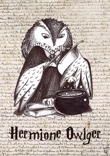 Hermione Owlger