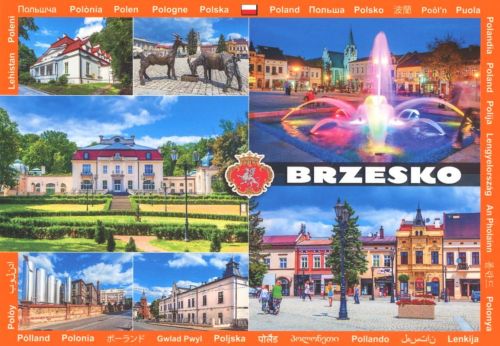 Brzesko