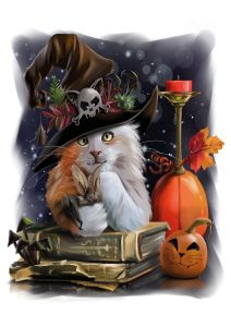 Cat and bat