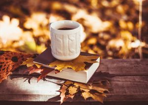 A season for reading