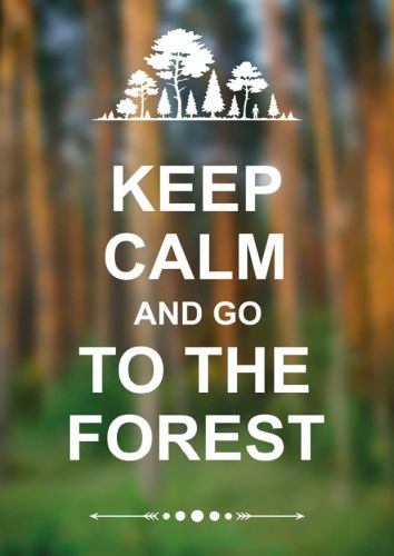 Keep Calm and go to the forest
