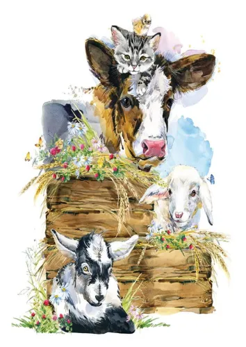 Farm Animals