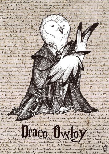 Draco Owloy