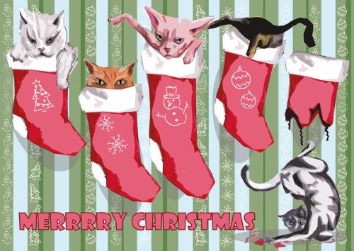 Christmas cats