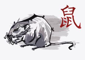 Year of the Rat