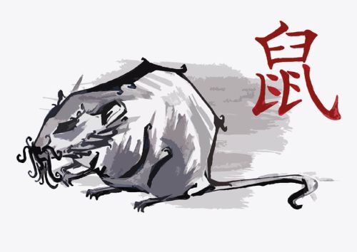 Year of the Rat