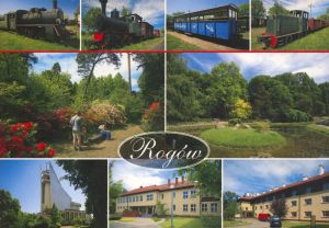 Rogów