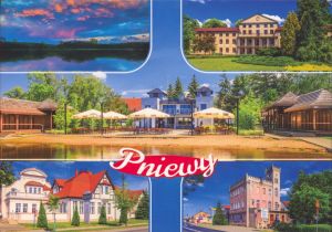 Pniewy