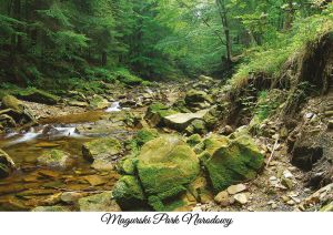 Magurski National Park