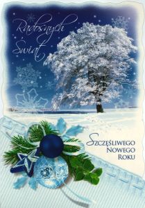 Christmas 085
