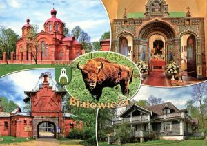 Białowieża