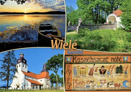 Wiele