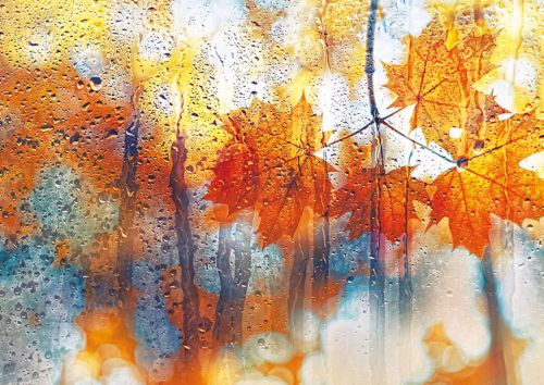 Rainy autumn
