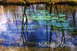 Blue Springs
