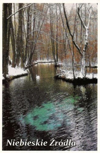 Blue Springs
