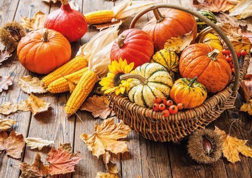 Autumn still life