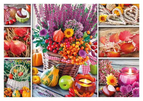 Autumn collage