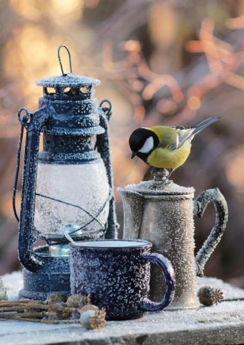 Frosty winter morning