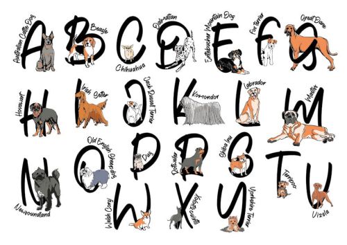 Dog alphabet