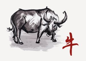 Year of the Ox