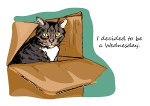 Everyday cat - Wednesday