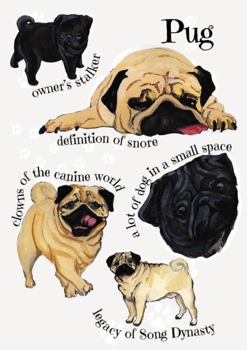 Dog breeds - Pug