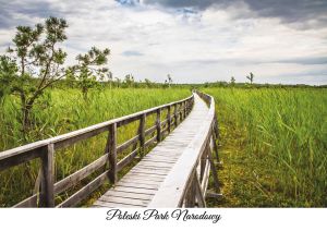 Polesie National Park