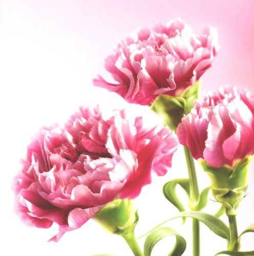Folded card - Flowers