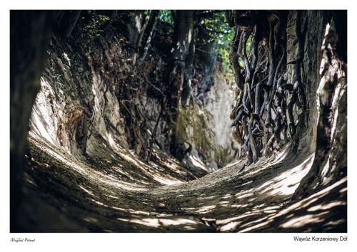 Magical Poland: Korzeniowy Dół Gorge