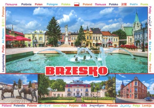 Brzesko