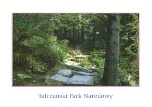 Outlet - Tatra Mountains