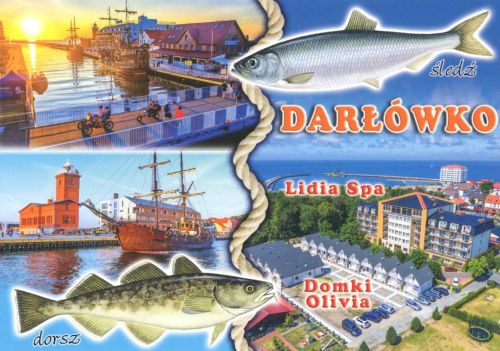 Darłówko