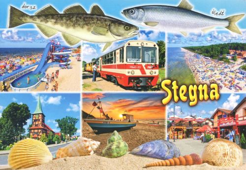 Stegna