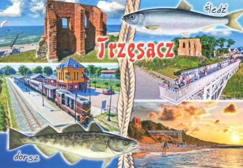 Trzęsacz