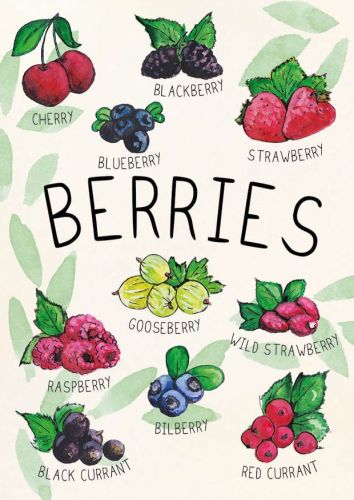 Berries