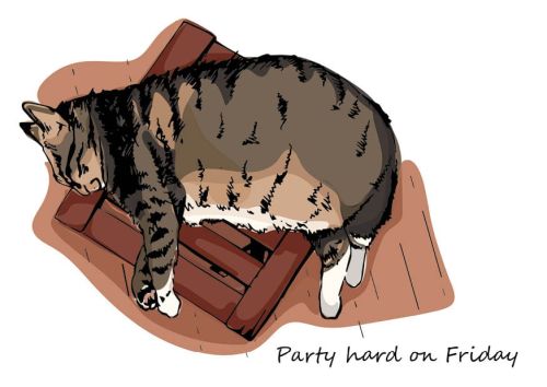 Everyday cat - Friday