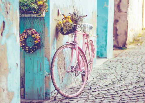 Floral bike